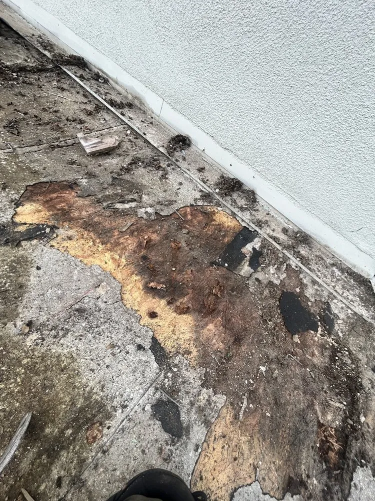 Slide of Early Roofing Rosendo