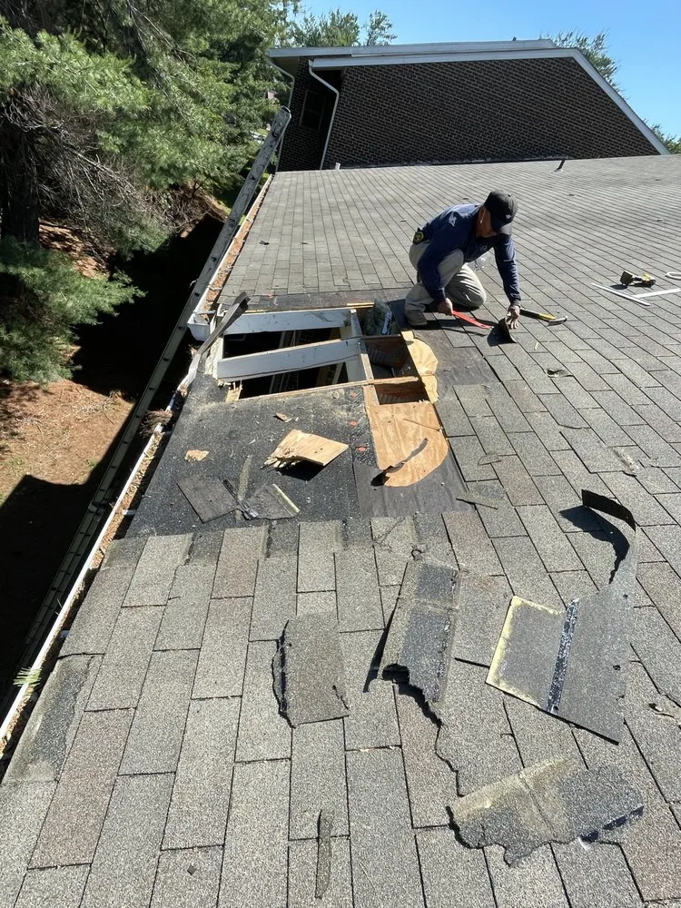 Slide of Earthkind Creation