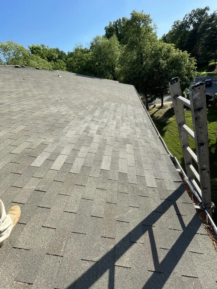 Slide of Earthkind Creation