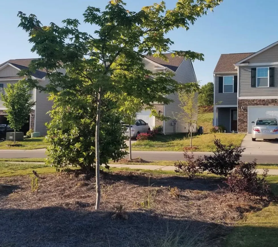 Slide of E.A.S Preservation & More