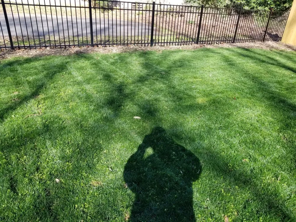 Slide of E.A.S Preservation & More