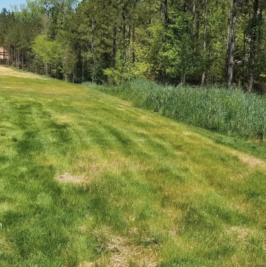 Slide of E.A.S Preservation & More