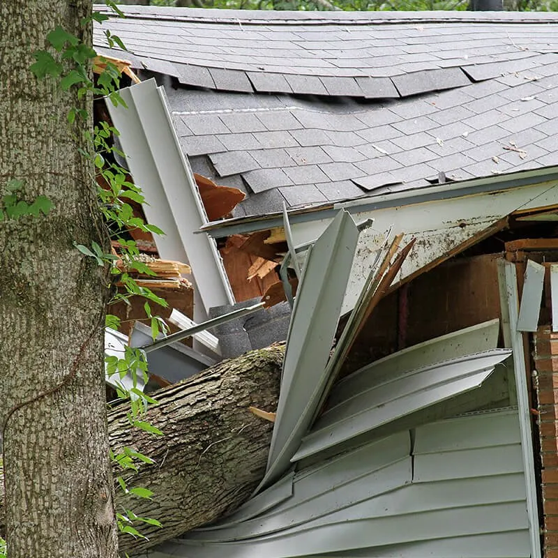 Slide of East Coast Renewable