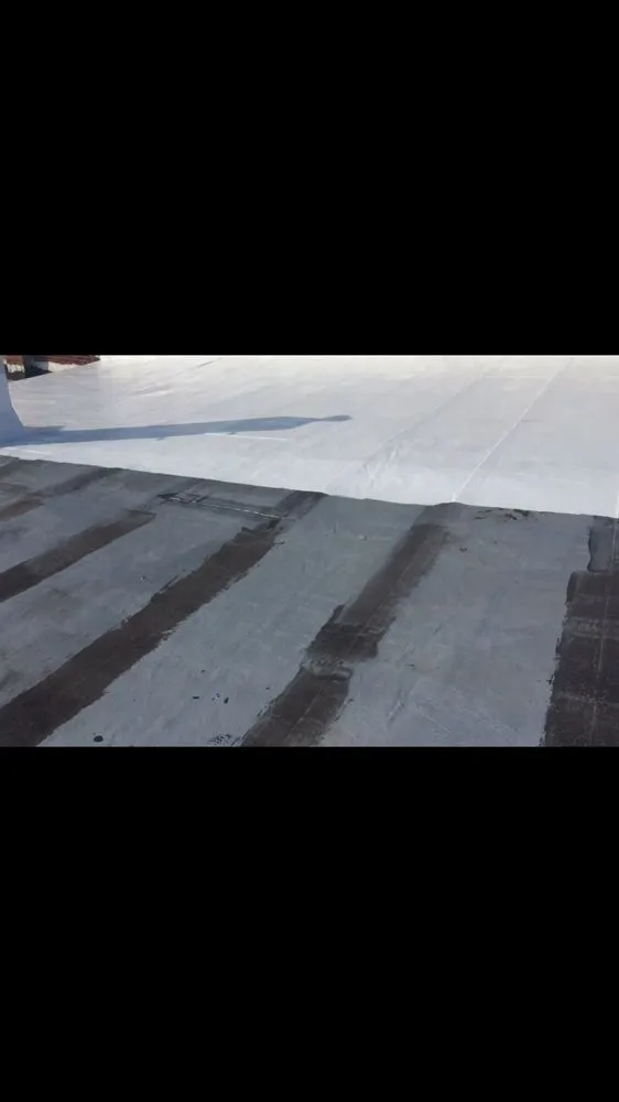 Slide of East Coast Seal Right