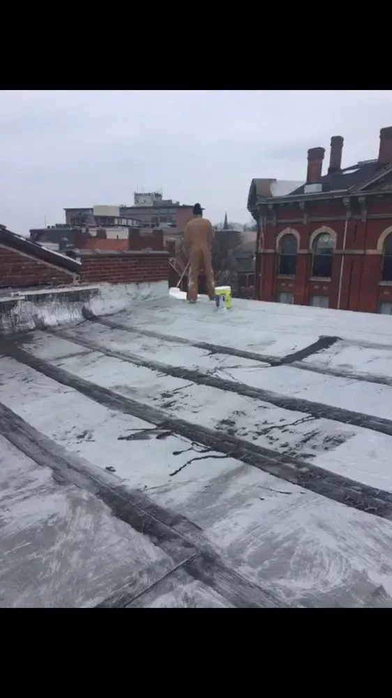 Slide of East Coast Seal Right