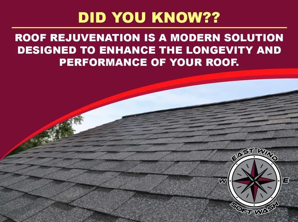 Slide of East Wind Soft Wash