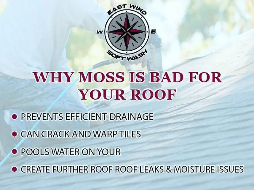 Slide of East Wind Soft Wash