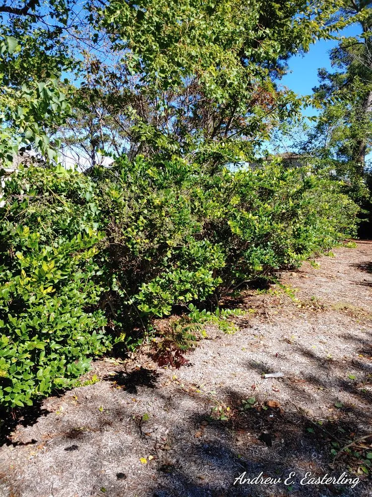 Slide of Easterling Services