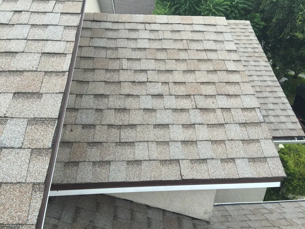 Slide of Eastern Exteriors