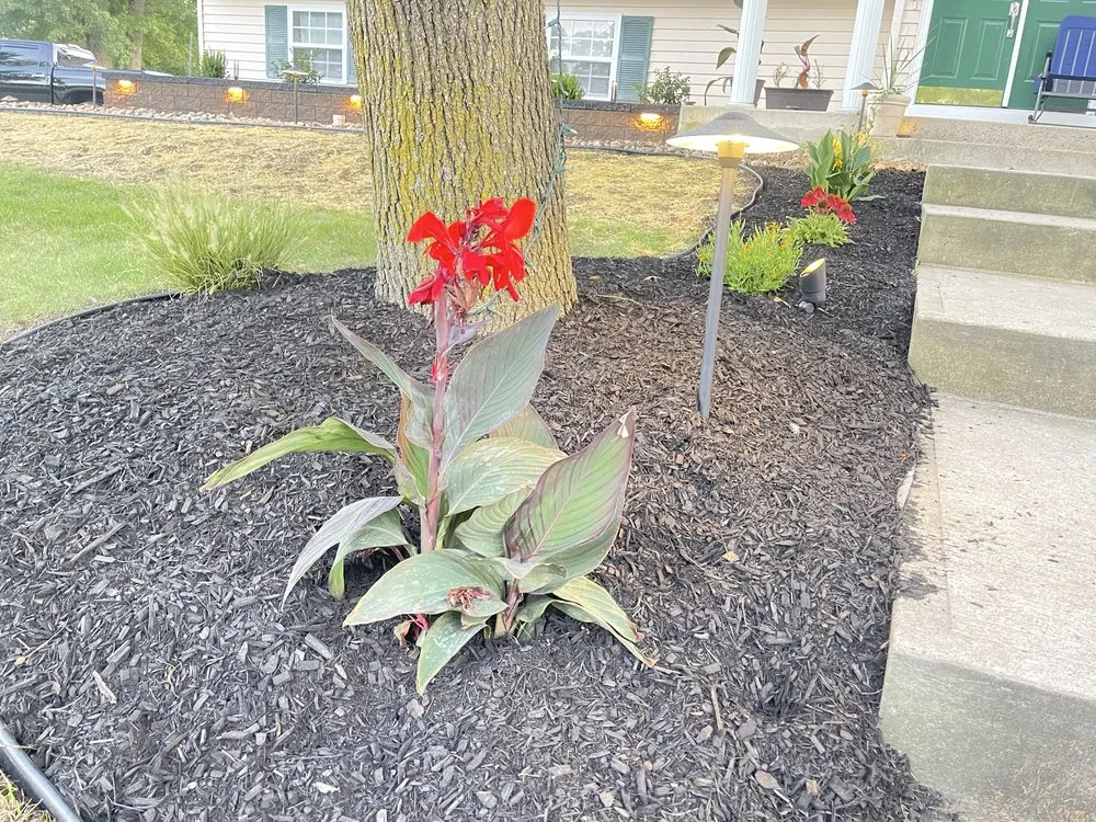 Slide of Eastern Landscaping