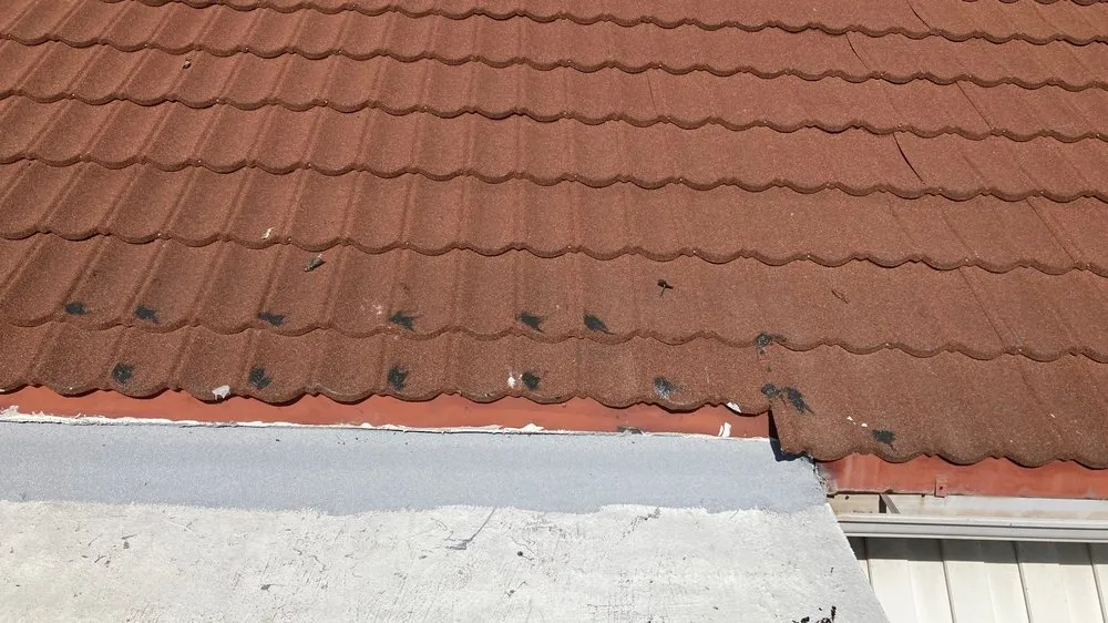 Slide of Eastman Roofing & Waterproofing