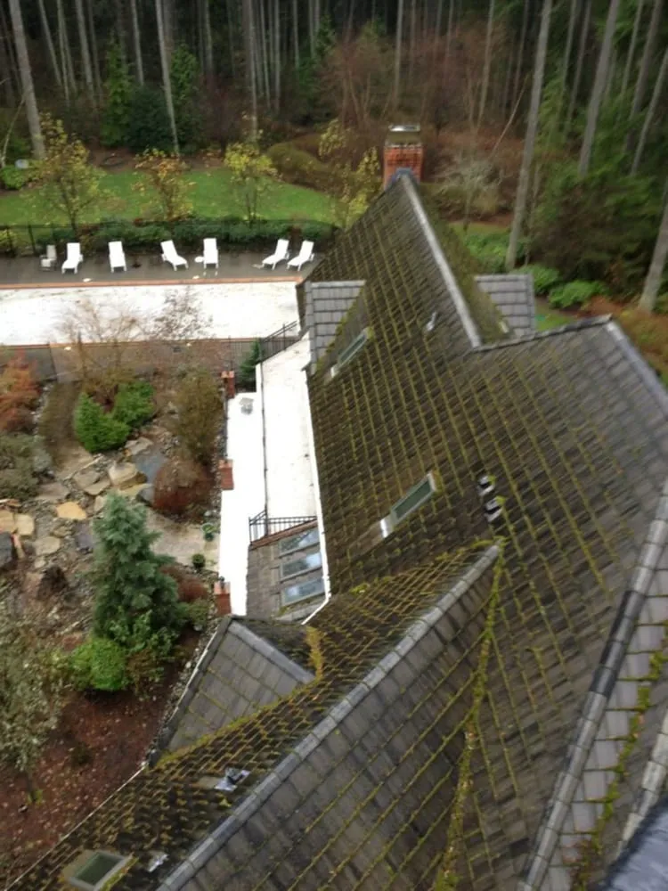 Slide of Eastside Roof Cleaning