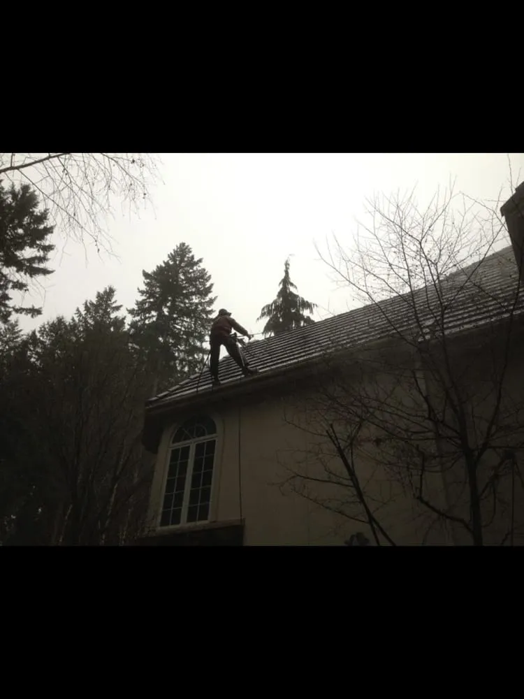 Slide of Eastside Roof Cleaning