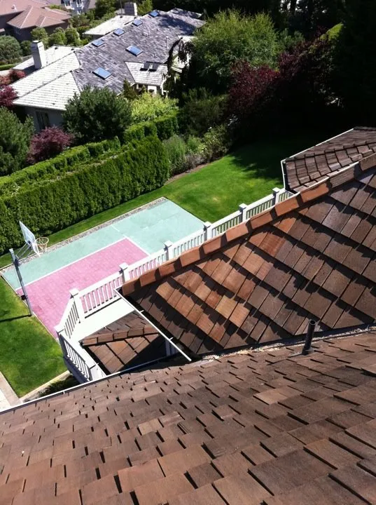 Slide of Eastside Roof Cleaning