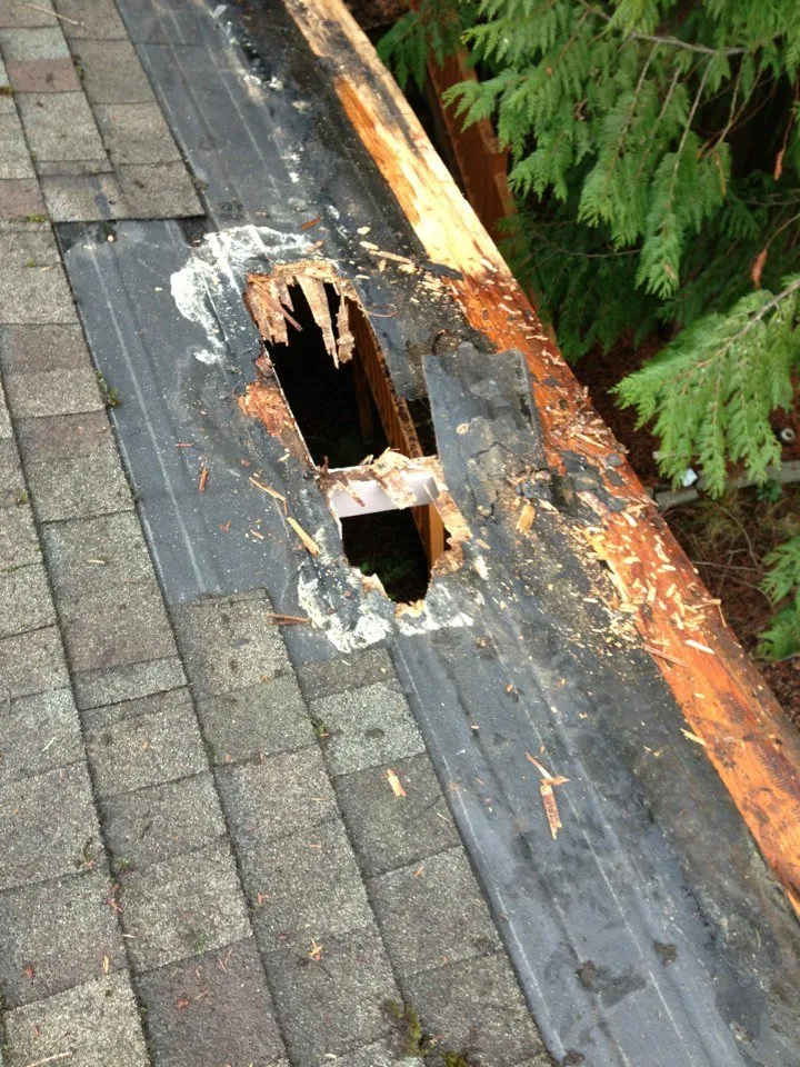 Slide of Eastside Roof Cleaning