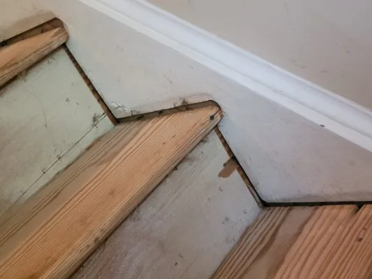 Easy Peezy Handyman Logo