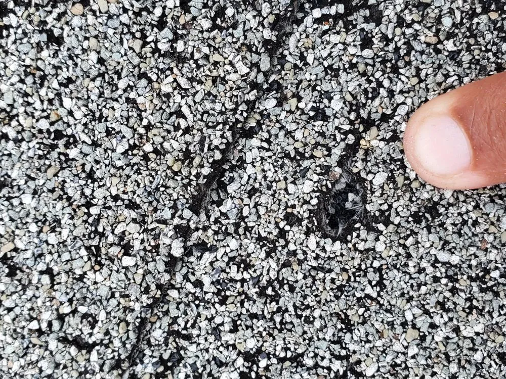 Slide of Eaton Exterior Restoration