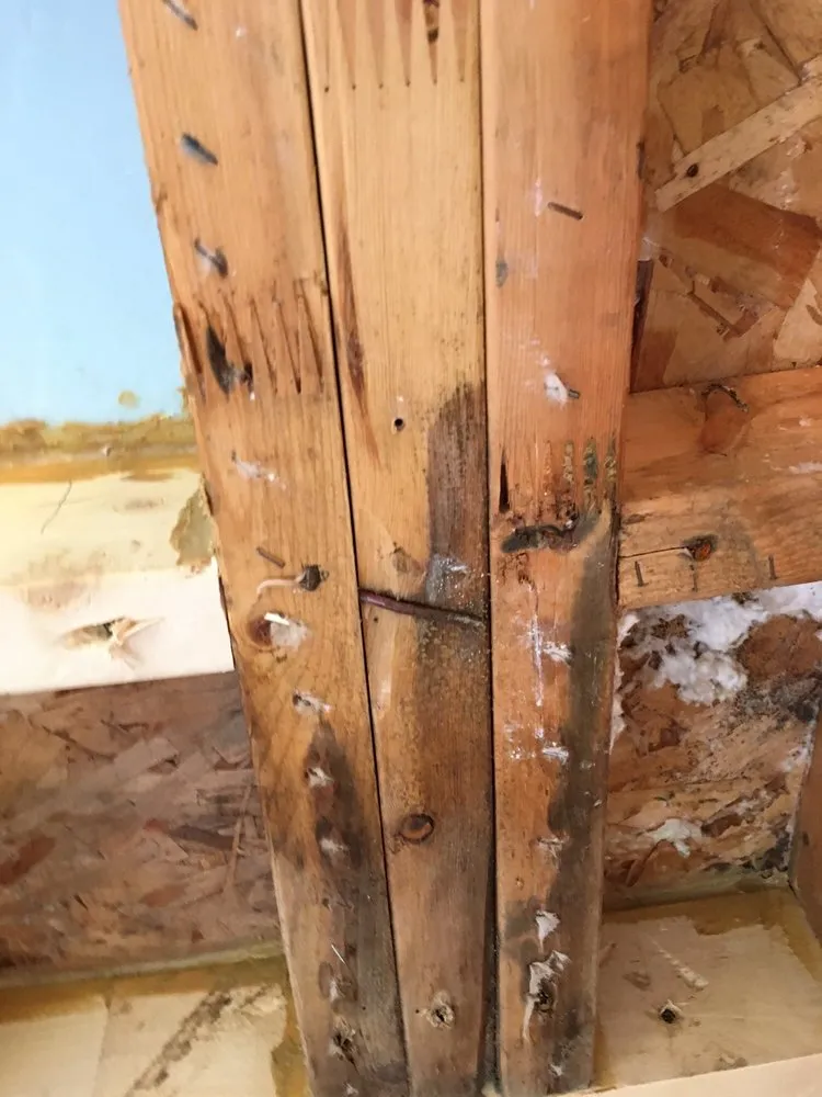 Slide of Eaton Roofing & Exteriors