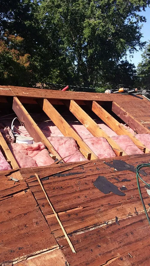 Slide of Eberto Escobar Corp