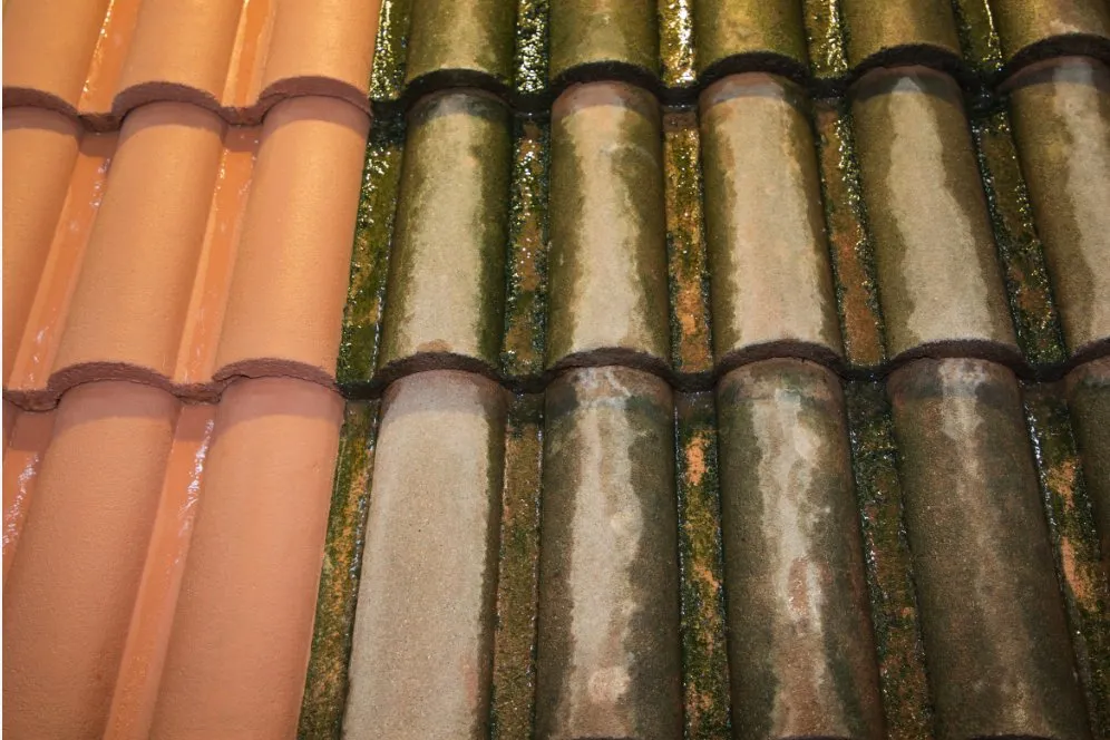 Slide of Eco Green Drone