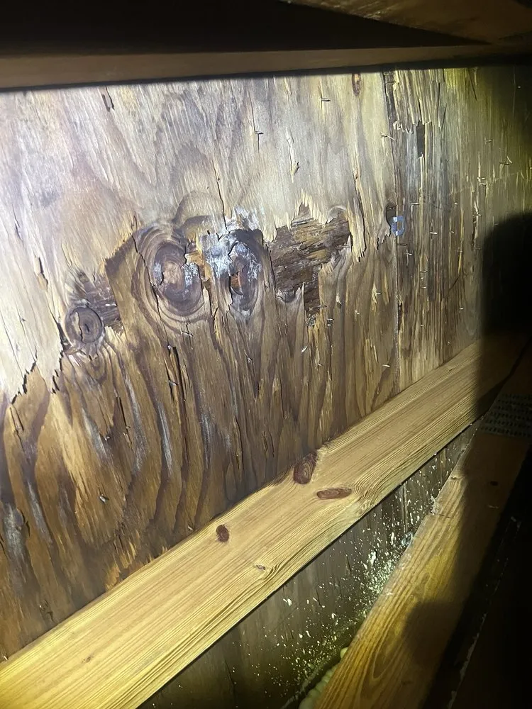 Slide of Eco Restore