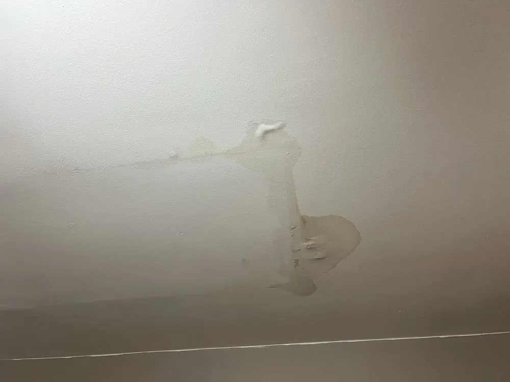 Slide of Eco Restore