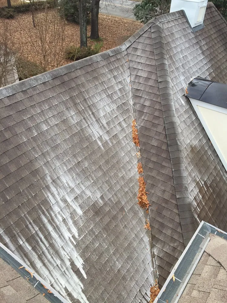 Slide of Eco Roof & Softwash