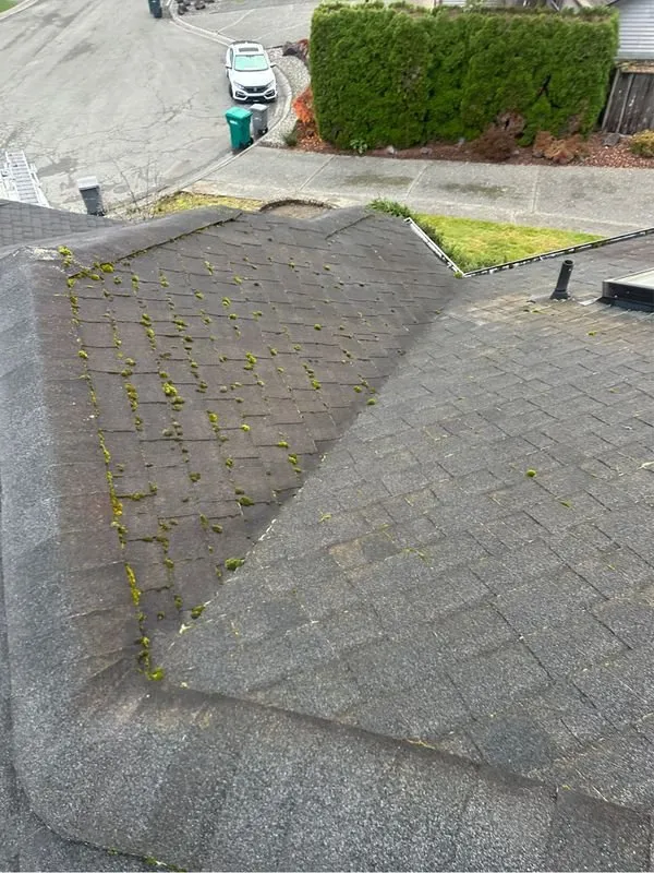 Slide of Eco Roof Cleaning