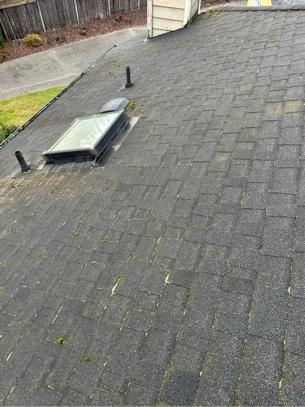 Slide of Eco Roof Cleaning