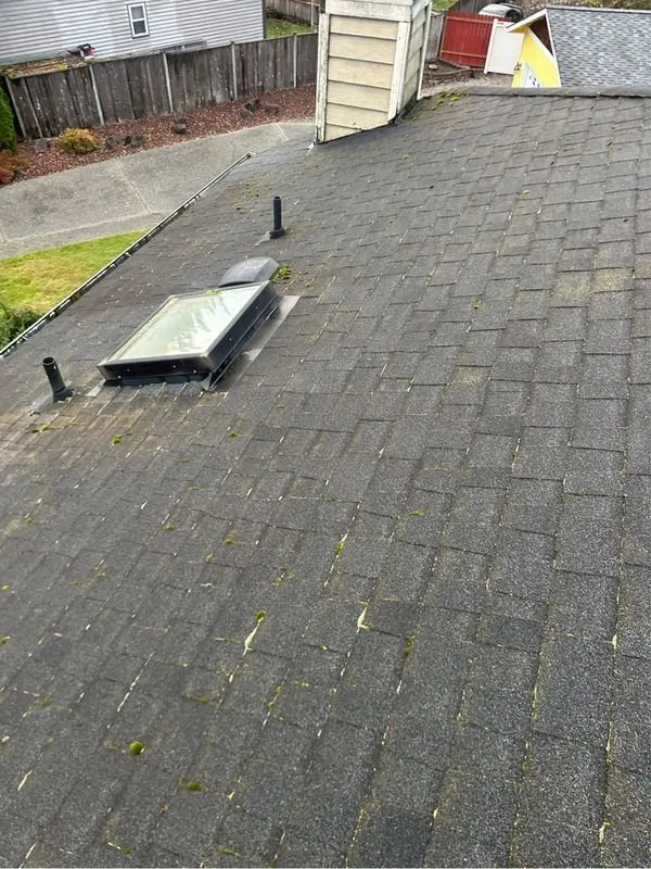 Slide of Eco Roof Cleaning