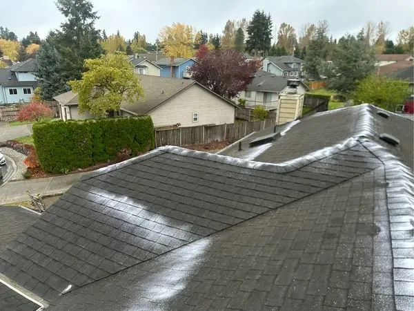 Slide of Eco Roof Cleaning