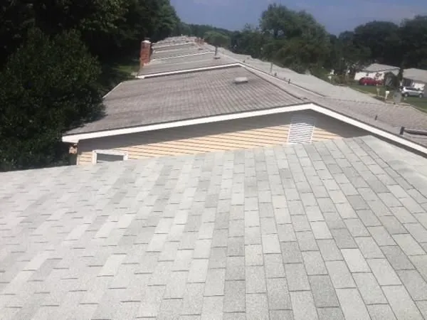 Slide of Eco Roof Cleaning