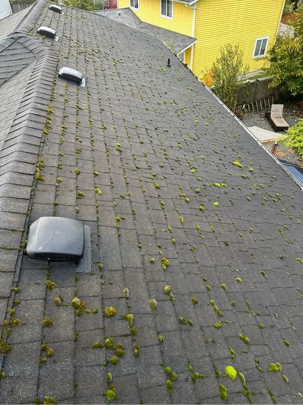 Slide of Eco Roof Cleaning