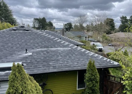 Eco Roof Cleaning