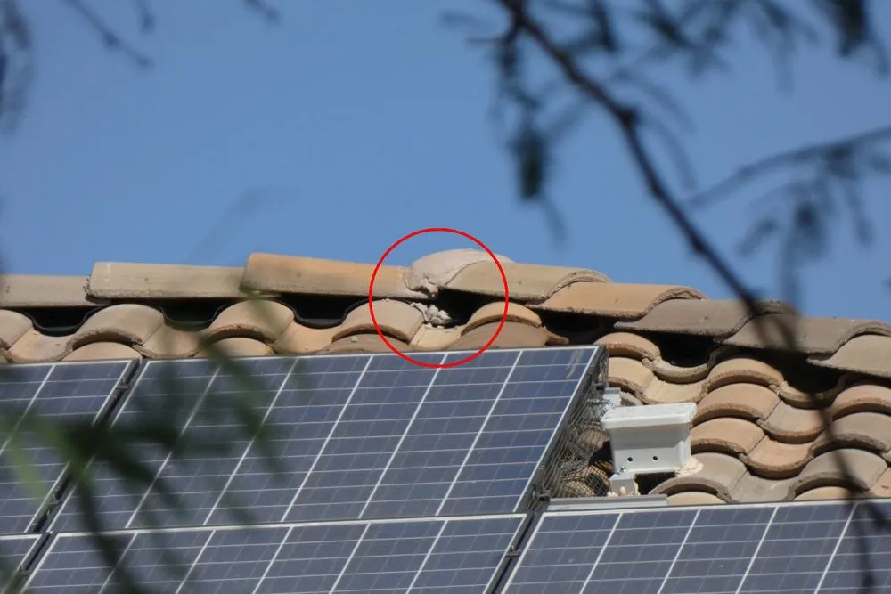 Slide of Eco Roofing Solutions