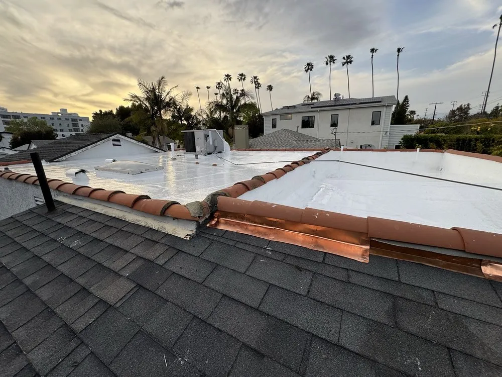 Slide of Eco Systems