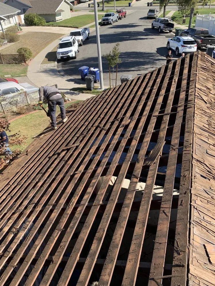 Slide of Eco Systems