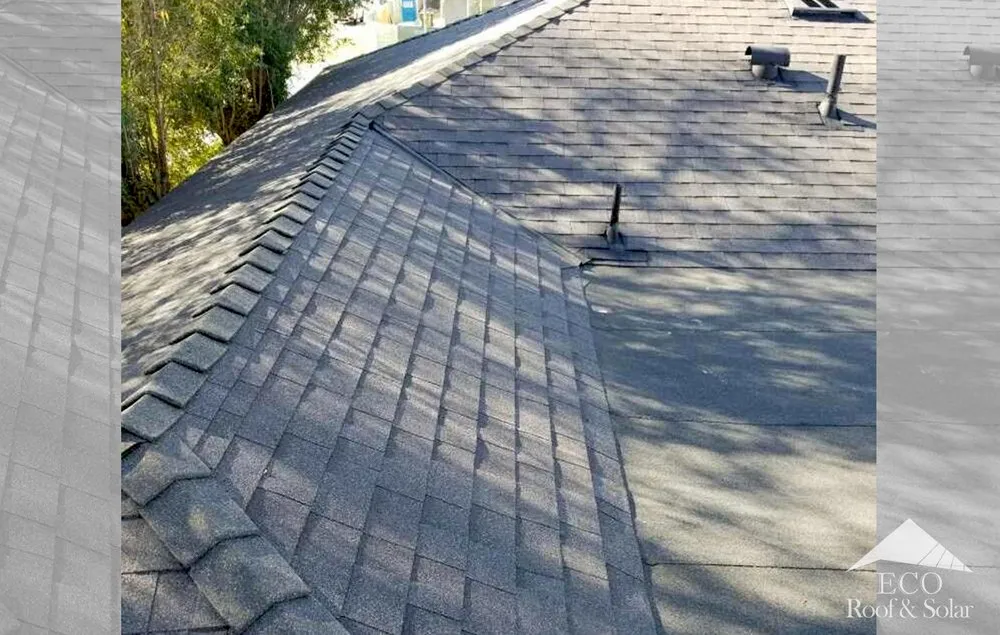 Slide of Eco Systems