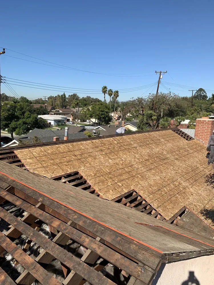 Slide of Eco Systems