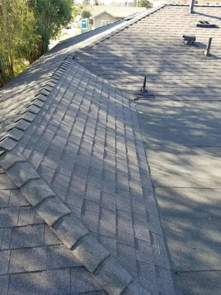 Slide of Eco Systems