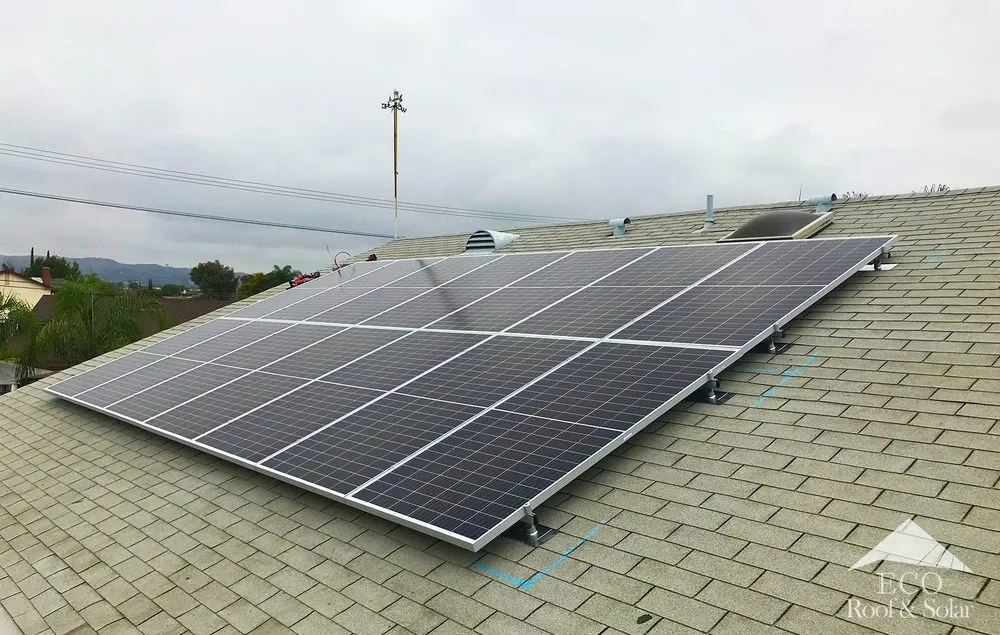 Slide of Eco Systems