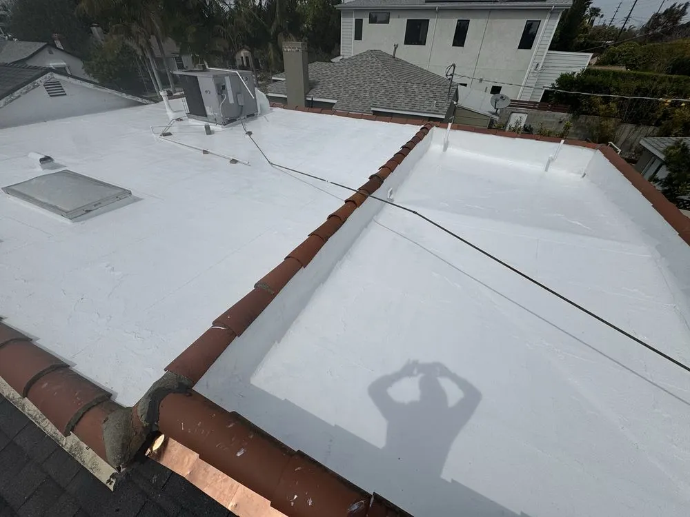 Slide of Eco Systems