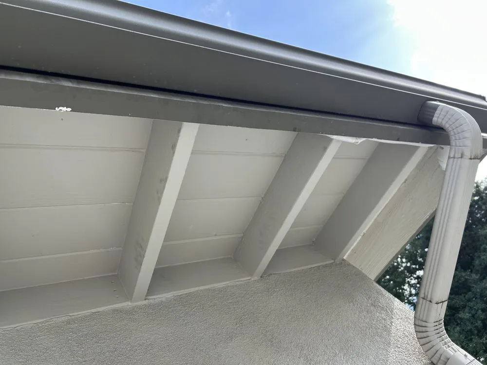 Slide of Eco Systems