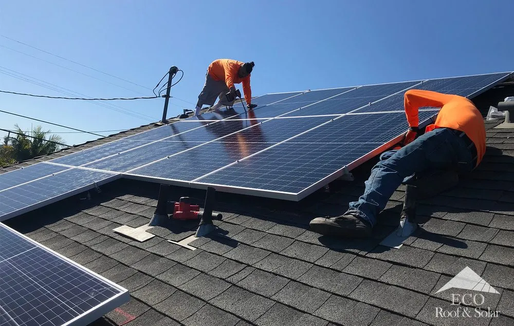 Slide of Eco Systems