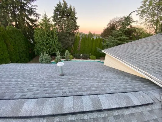 Economic Roofing