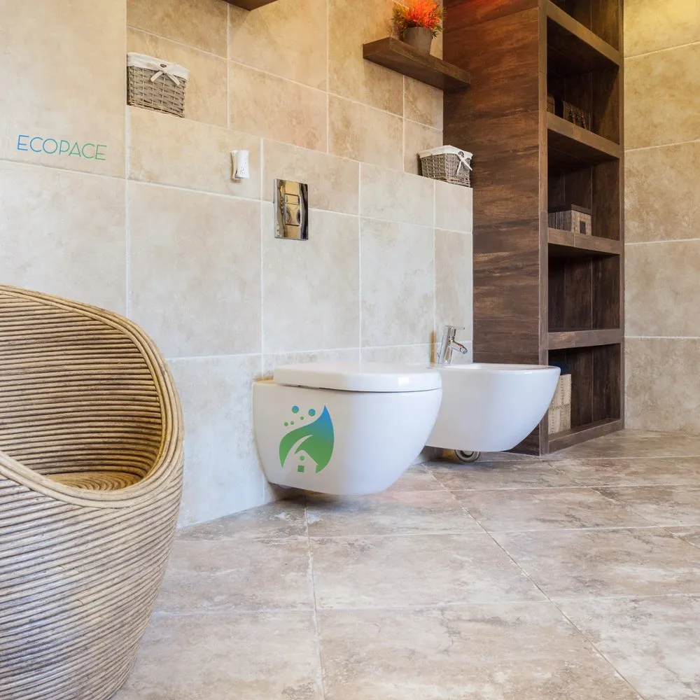 Slide of Ecopace Group