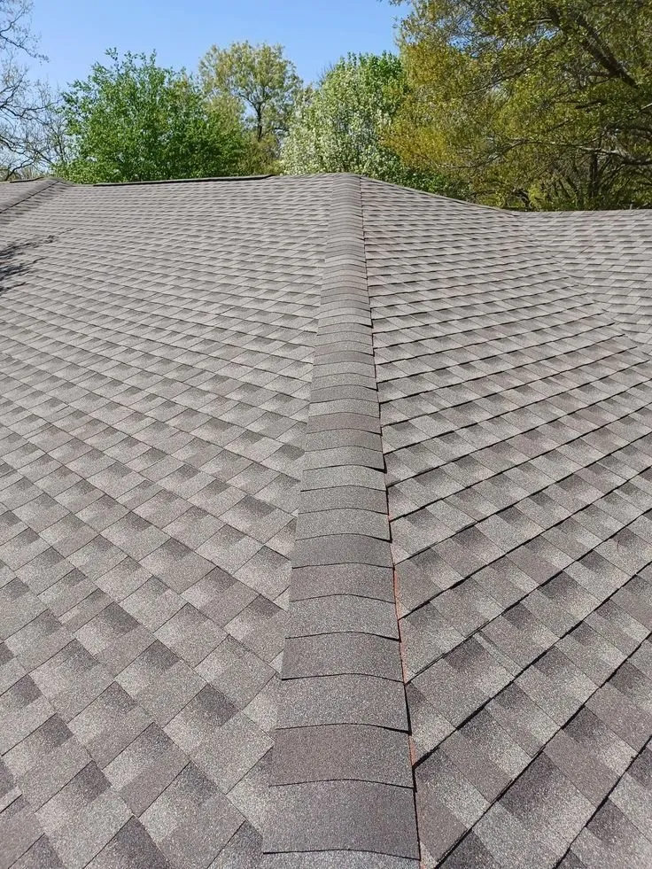 Slide of EcoSmart Roofing Services