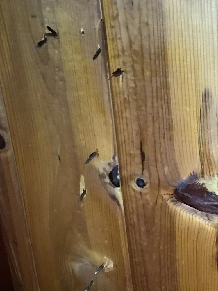 Slide of ECR Roofing & Solar