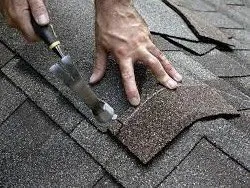 Slide of Ecstatic Solution