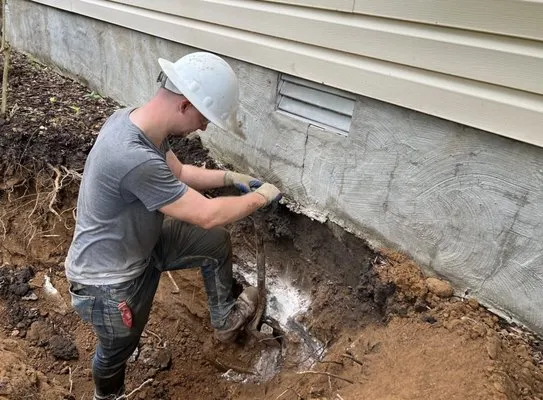 Ecstatic Solution Logo